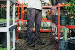 12/12 men's pants tw